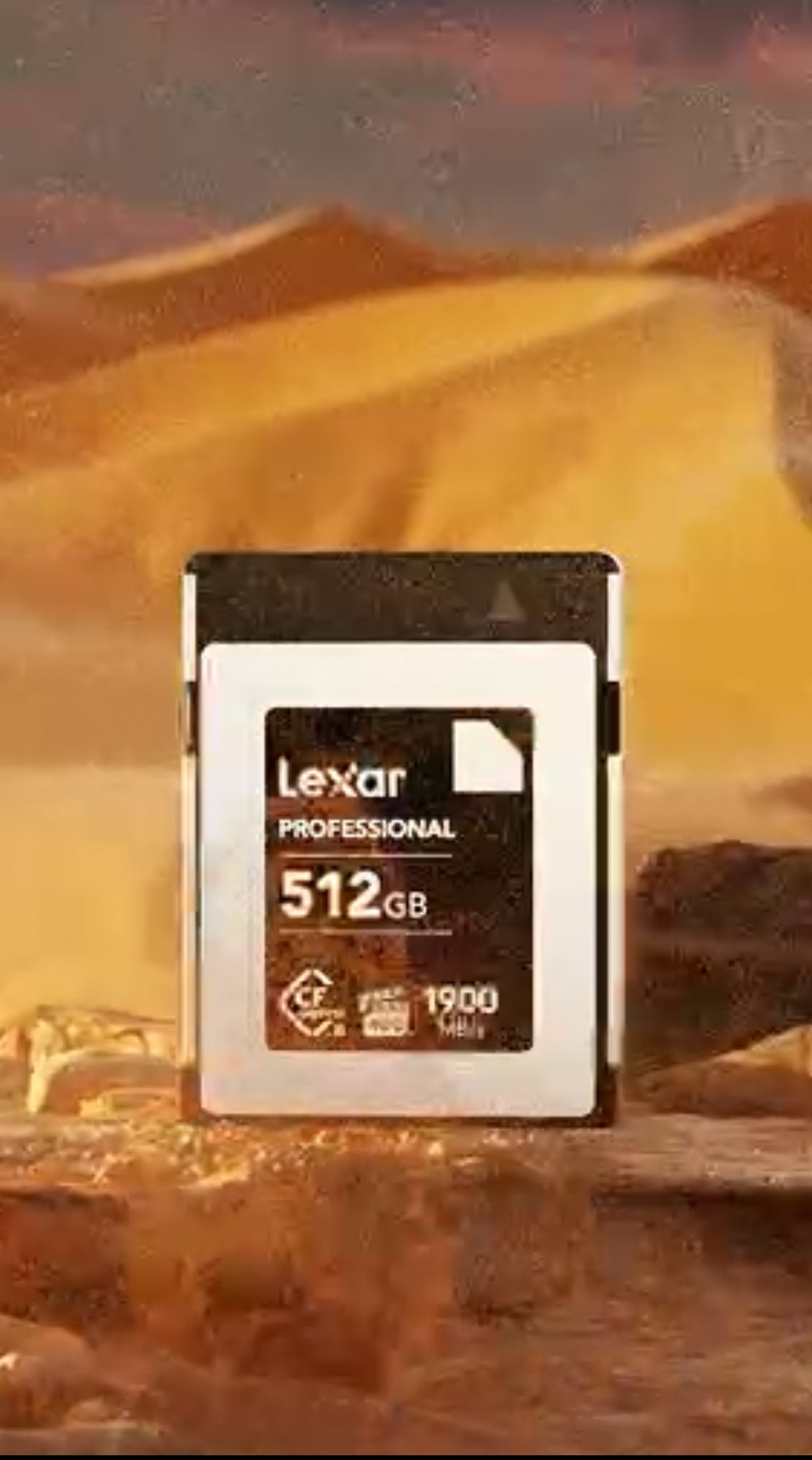 【新品】LEXAR Professional CFexpressTypeAカード Lexar® Professional CFexpress™ Type A Card SILVER Series | Lexar